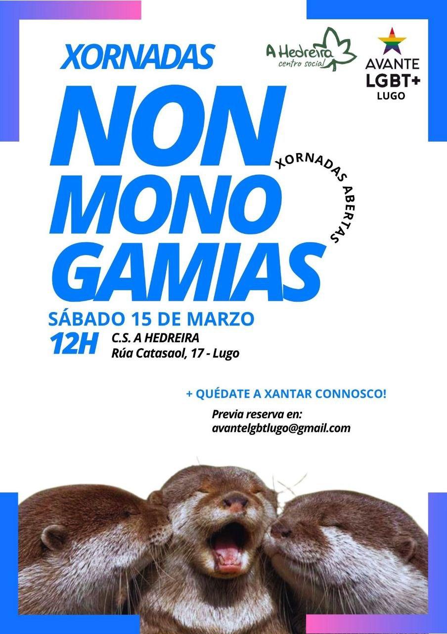 Xornadas abertas de Non Monogamias. Organiza Avante LGBT+ Lugo