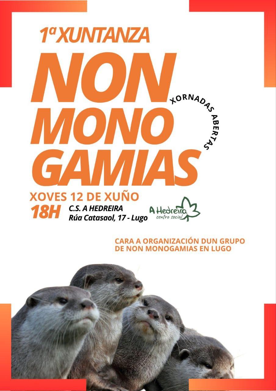 1ª Xuntanza NON MONOGAMIAS